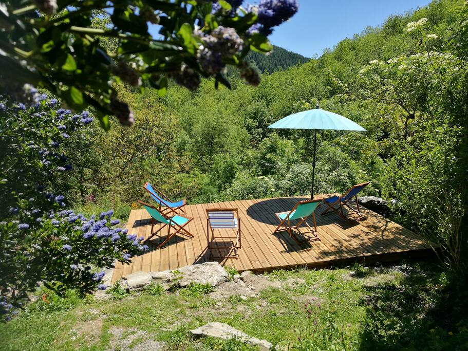 Forest view Terrace