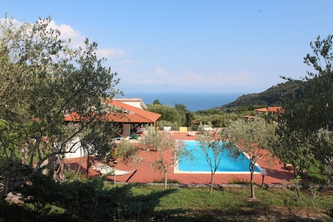 Villa with swimming-pool "Le Due Querce"