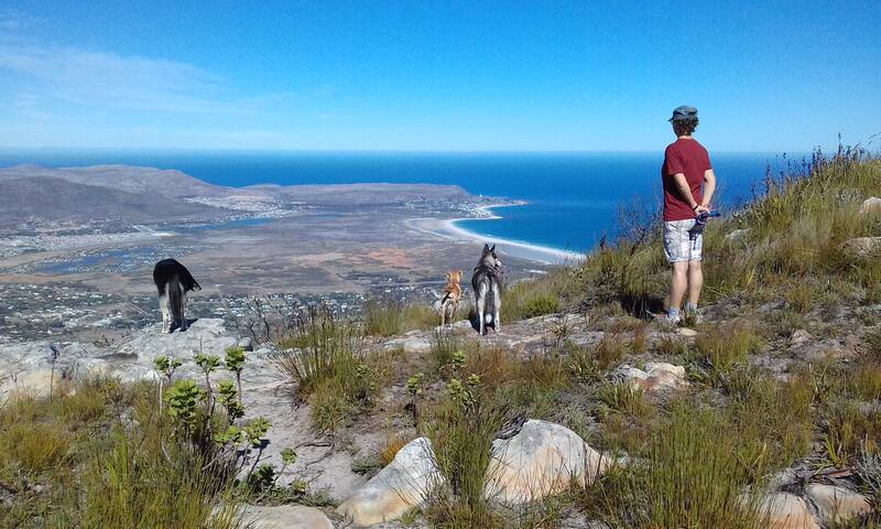 Ocean Cottage (at that point you can see!)