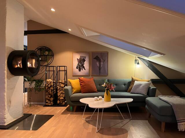 Stylish Grünerløkka penthouse with rooftop terrace gallery image 2