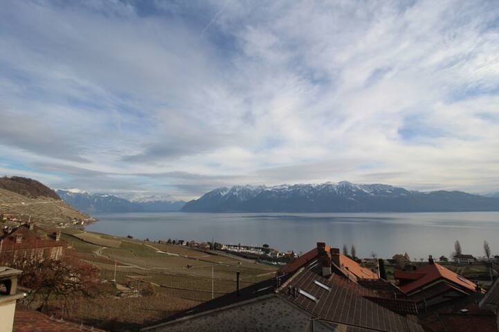 Panoramic Lake Views in the Middle of Wine Country