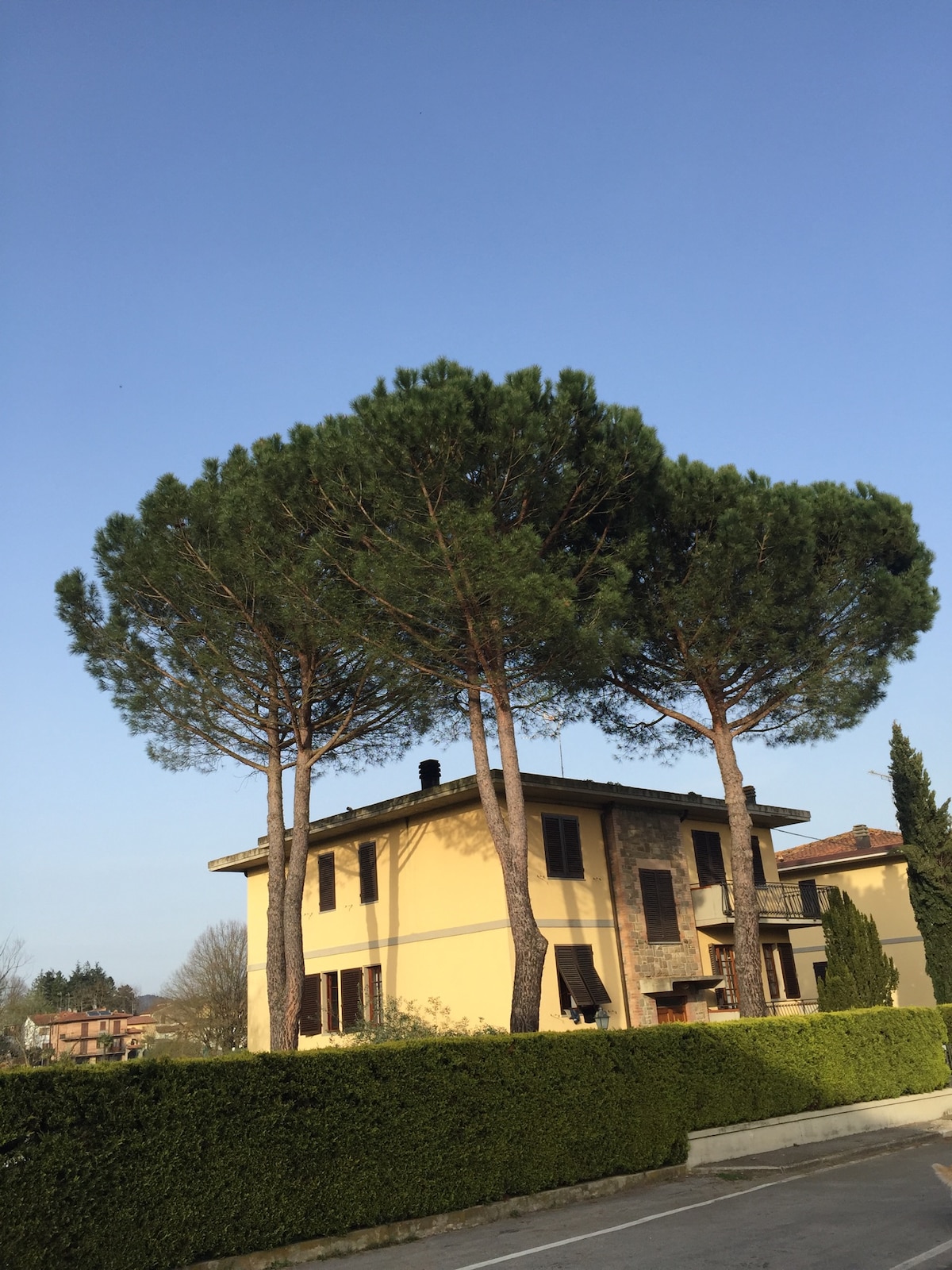 A spacious villa is set against a clear blue sky, nestled amidst tall, lush pine trees. The building features an exterior of warm tones, with large windows dressed in dark shutters, framed by a well-maintained green hedge.