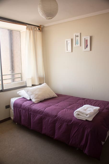 A very lightful and comfortable bedroom
