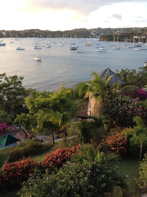 Lush Gardens. Beautiful light. Prickly Bay.