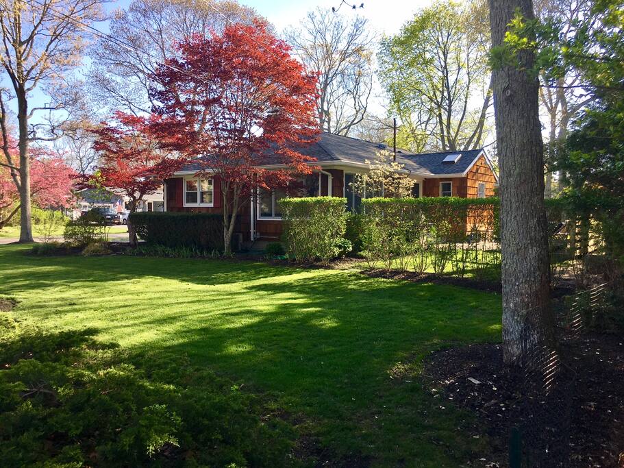 Southwest Corner of House