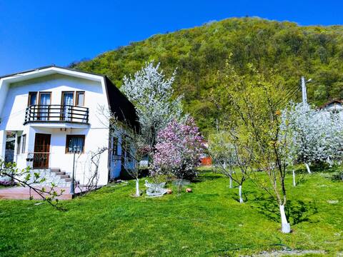 Relax House Anastasia  B. Herculane self checkin