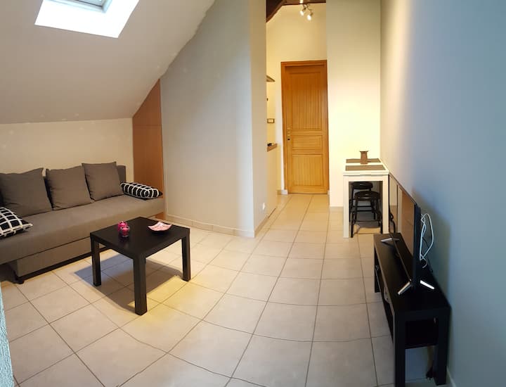 Cozy apartment, perfect for discovering Annecy!