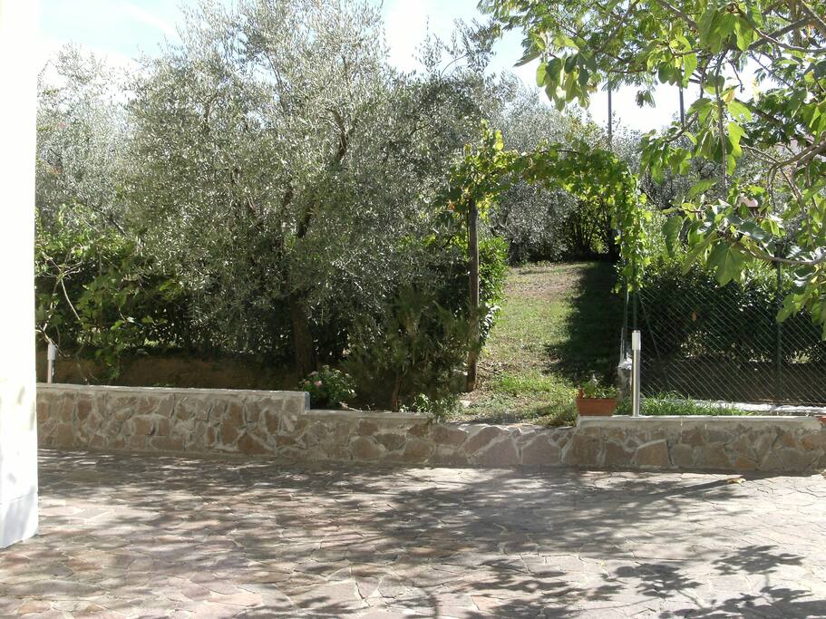 Esterno