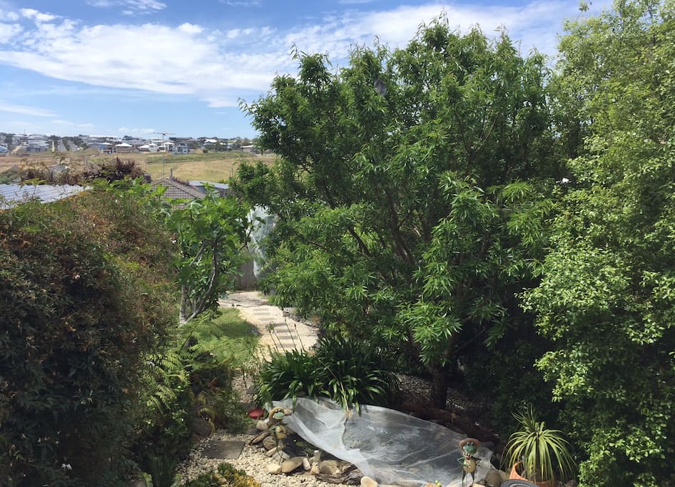 View from Deck