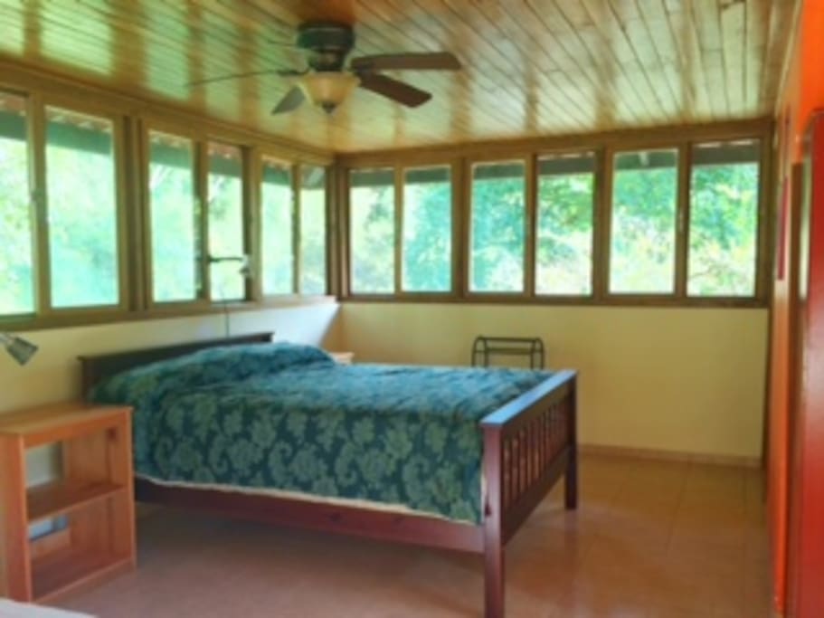 New Dr. Dream Queen Bed