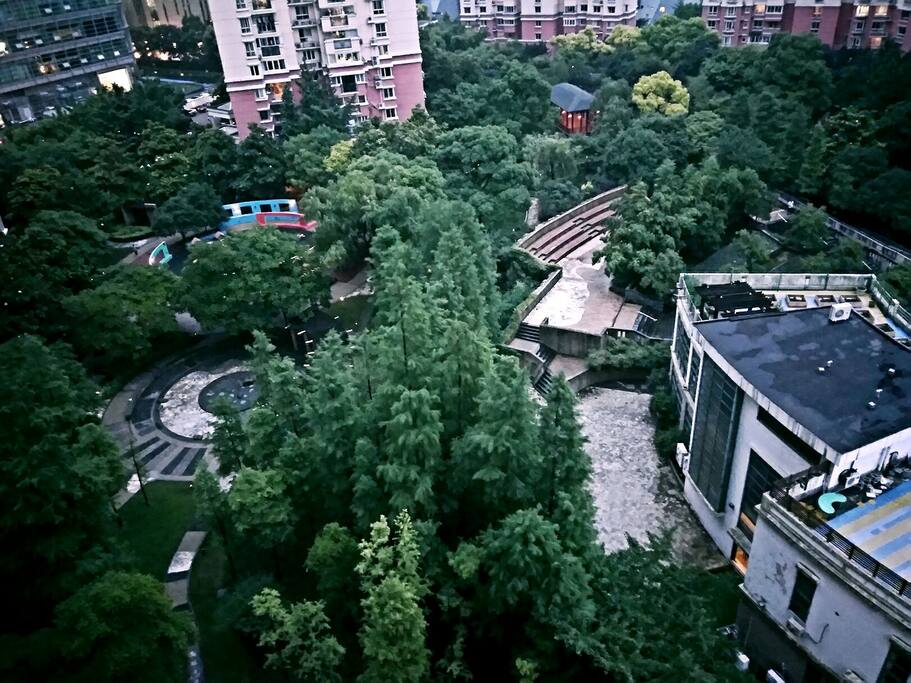 陆家嘴腹地的森林小区,闹中取静