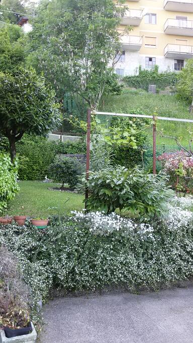 Giardino