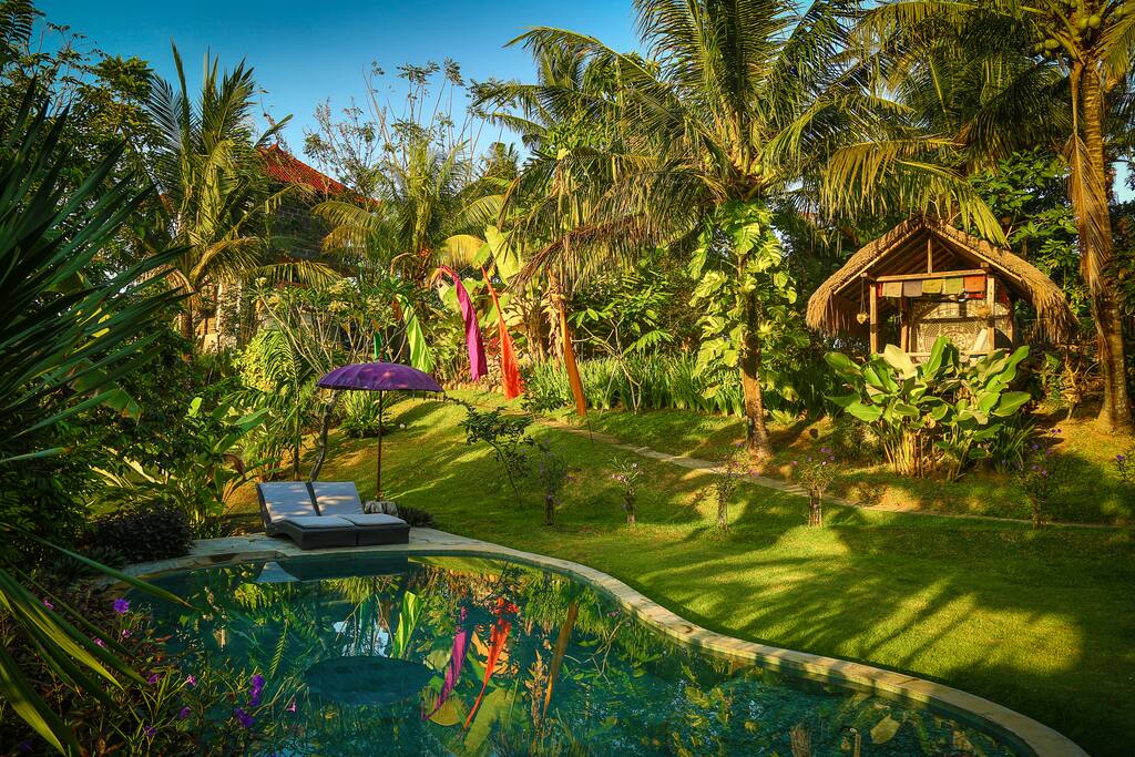 Maddie okt 2017: We loved the pool and outdoor hut to relax, especially in the evening with the pool and garden lighting creating a magical ambience.