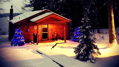 Loon's Echo lakefront w/ JACUZZI, private dock