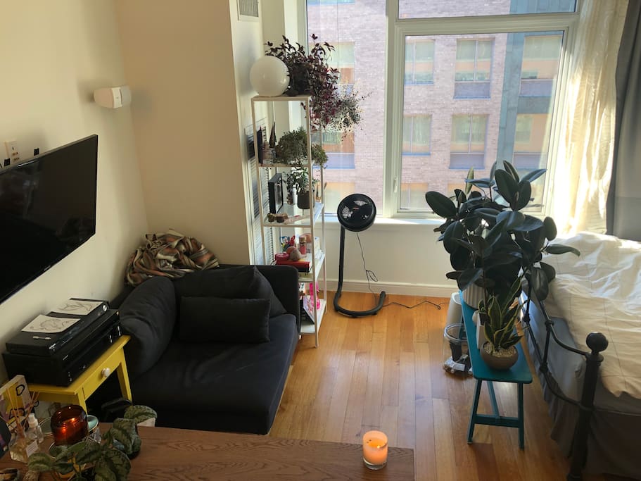Large windows with curtains, TV, and kitchen table