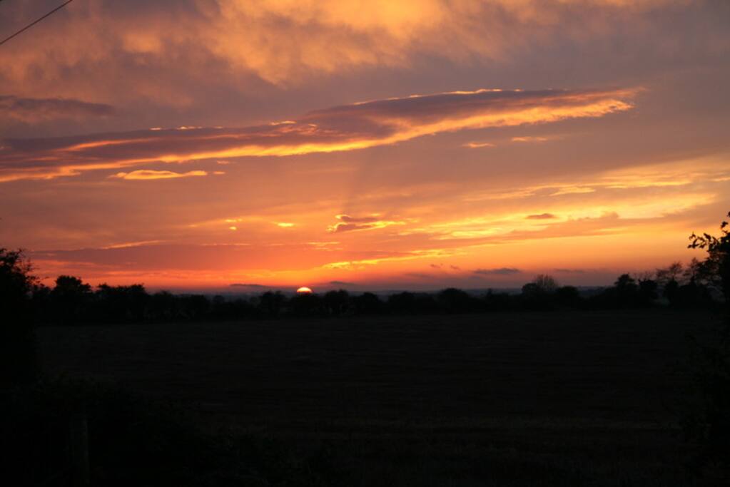 Evening view