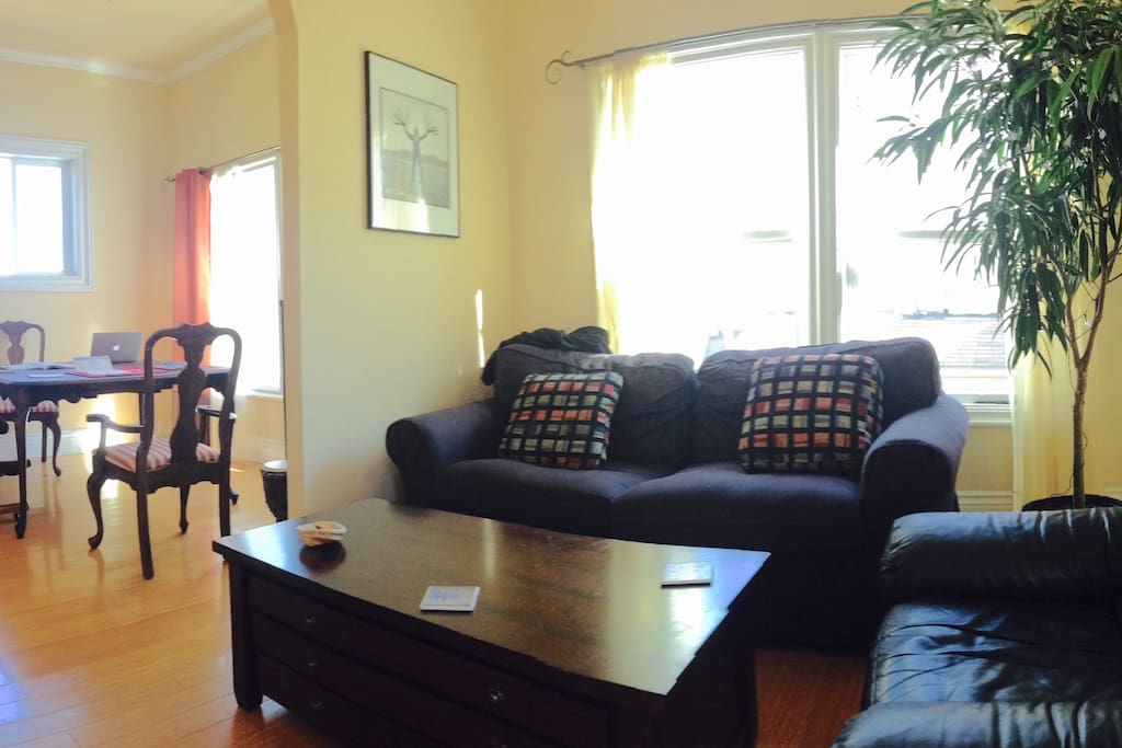 Lots of natural light in the living room.