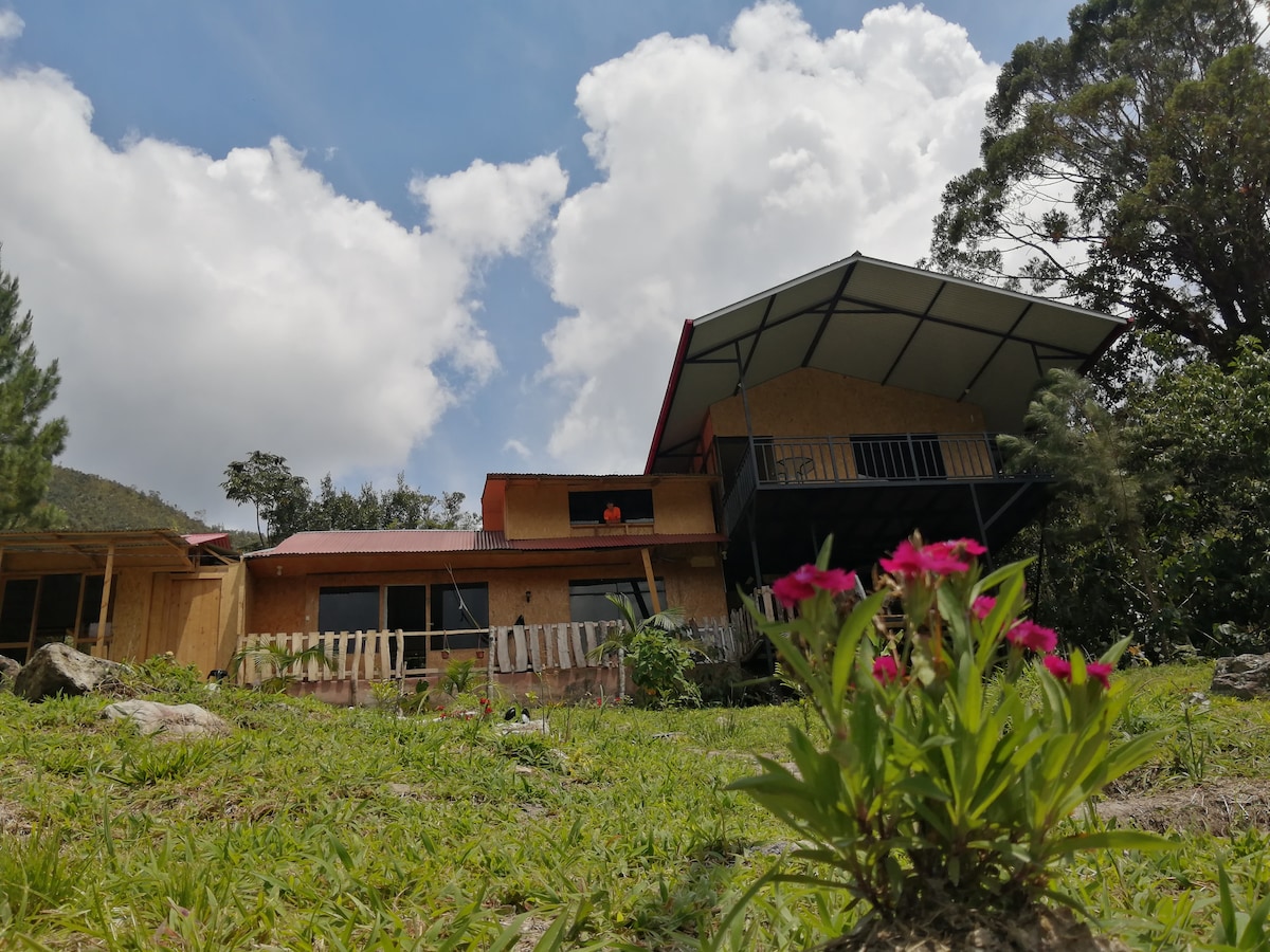 The eco-friendly house is nestled in a natural setting, featuring a multi-level design with a sloped roof. Large windows provide views of the surrounding greenery, while vibrant flowers grow in the foreground, adding natural beauty to the landscape.