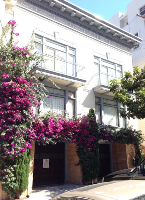 Front of the house