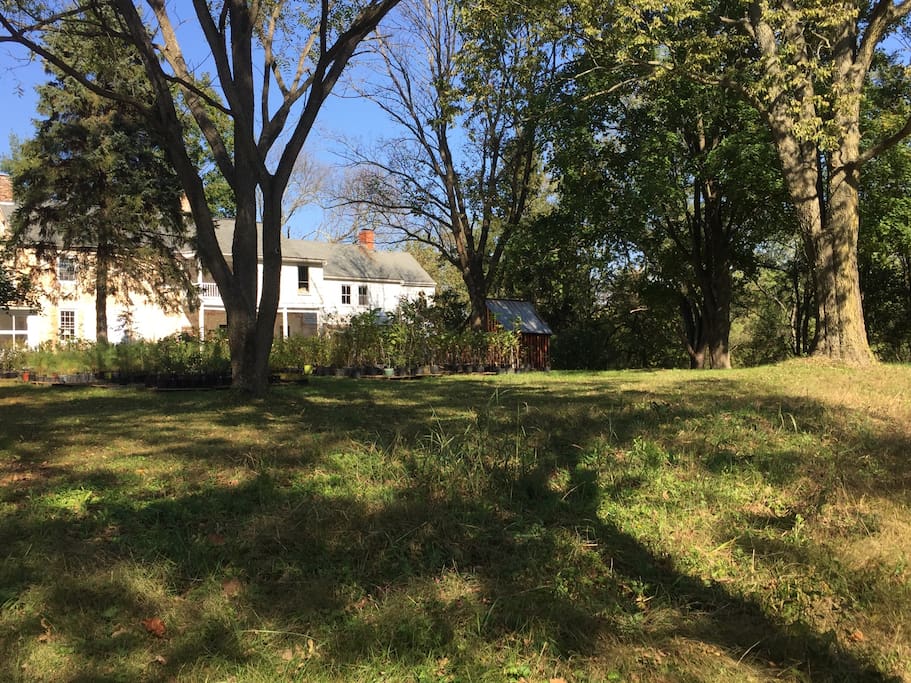 View approaching house