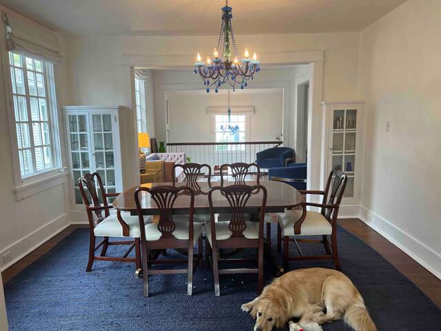 Ideal home for Tulane parents + Mardi Gras gallery image 5