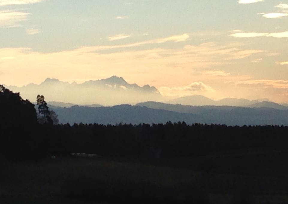 Ausblick von der Terrasse