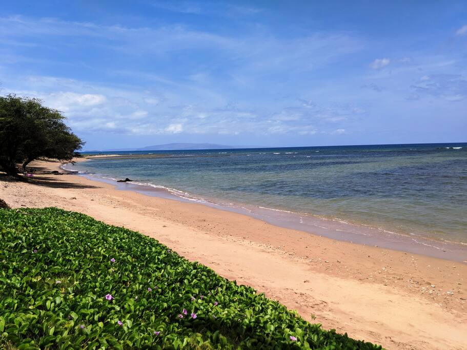 Maui Sunset Beach