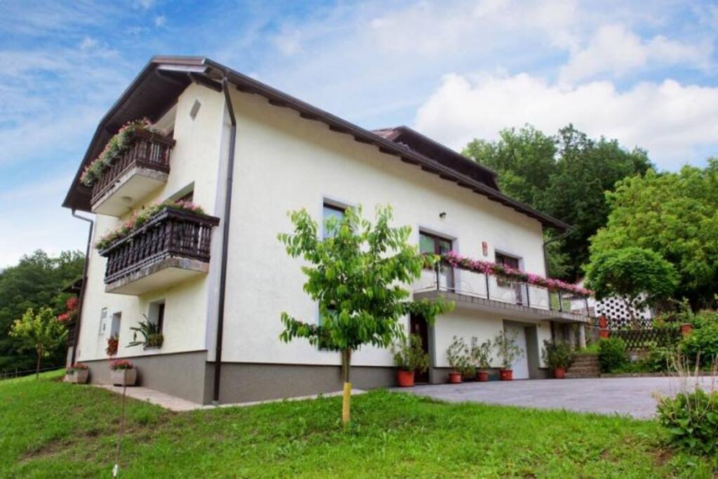 Outside view