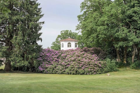 Palm House at Hjelmsjöborg