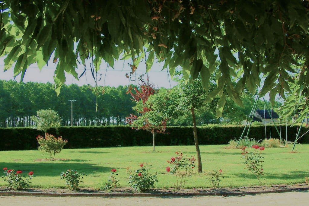 Large south facing garden