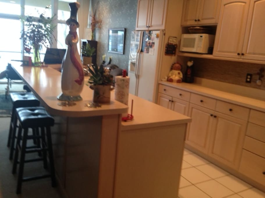 Large Kitchen with snack bar