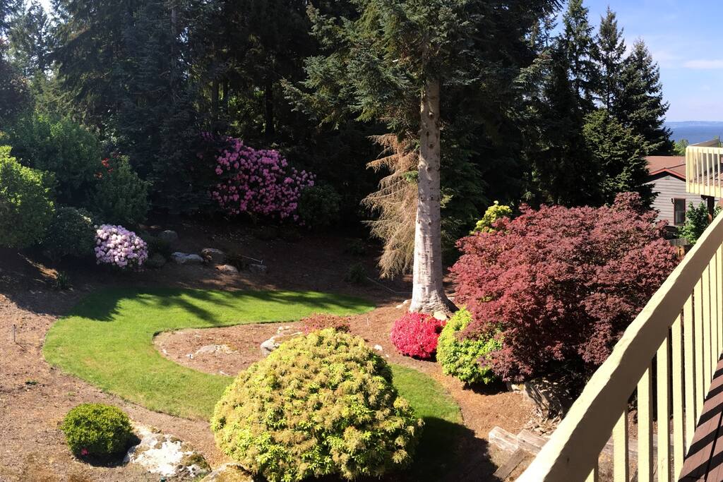View from the deck upstairs