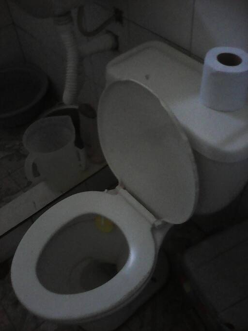 sanitario
