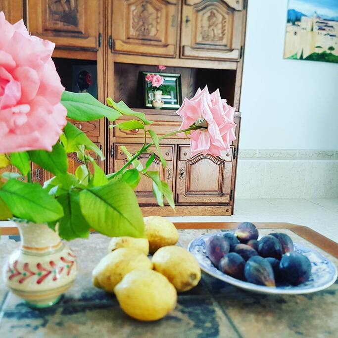 Wohnzimmer mit Früchten aus unserem Garten