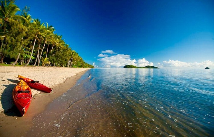 A serene beach scene features calm waters reflecting a clear blue sky, with gentle waves lapping at the shore. Two kayaks, one red and one yellow, are positioned on the sand. Lush palm trees line the beach, enhancing the tranquil coastal atmosphere.
