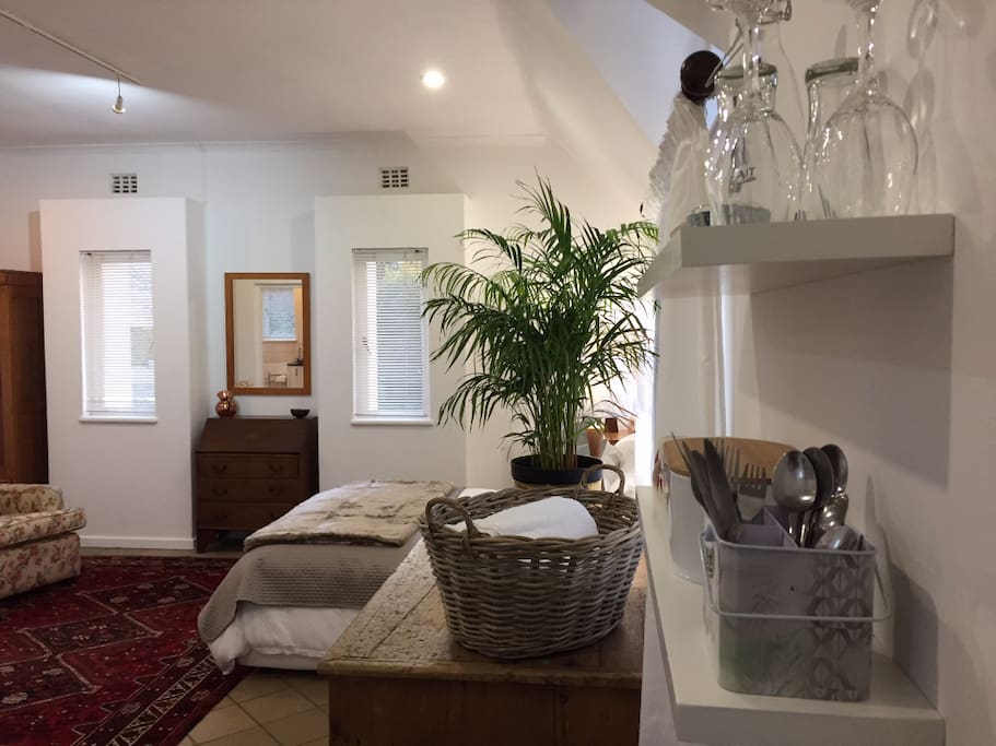 Fresh and Clean Queen Size Bachelors Apartment