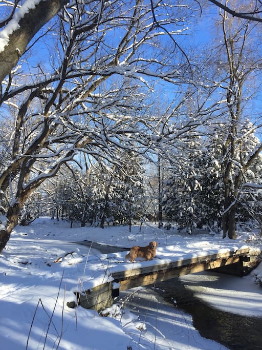 view from back deck
