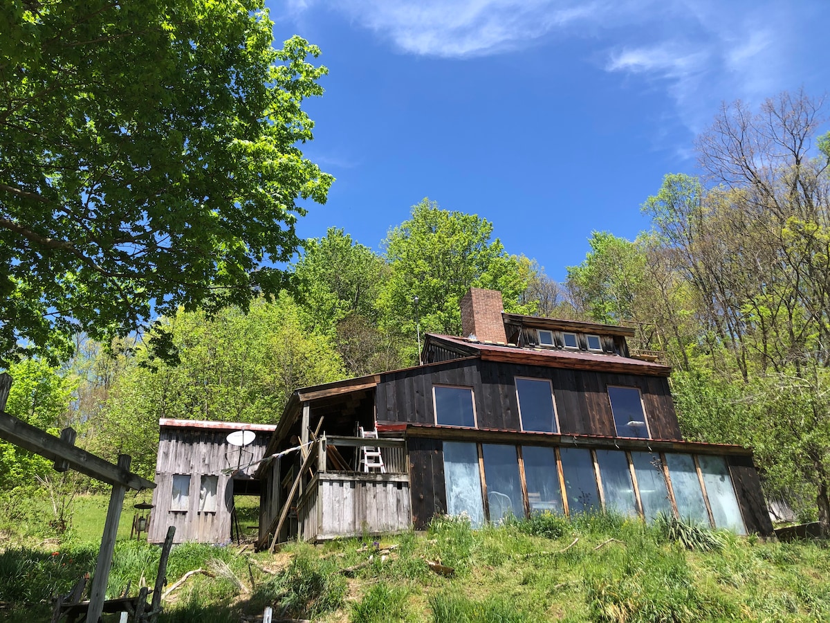 The house, built with wood, is set against a backdrop of lush green trees under a bright blue sky. Large windows dominate the front facade, allowing natural light to fill the interior. A chimney rises prominently, contributing to the rustic charm of the structure.