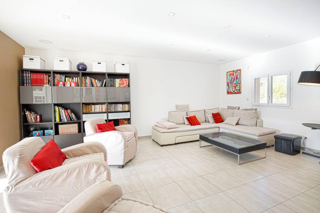 Spacious and luminous living room with a sofa bed.