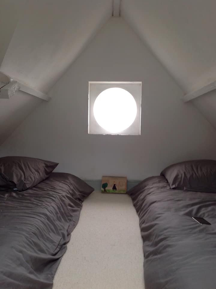 Საერთო საცხოვრებლის სიმაღლე 1 მ 80