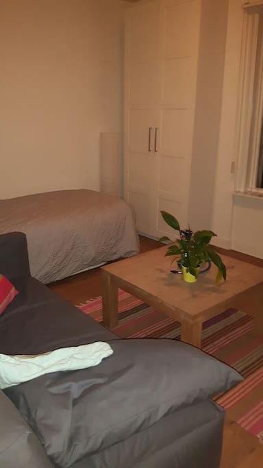 Guestroom / singlebed and closet