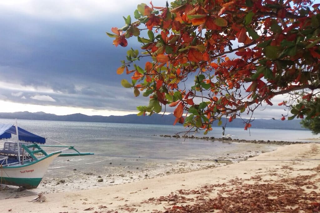 Mangguihay Beach Front Day View