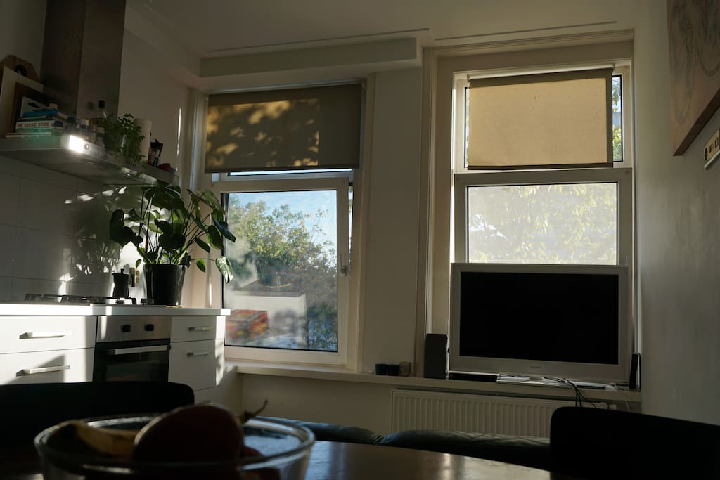 Kitchen / living room