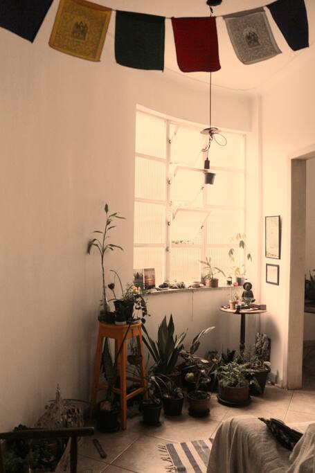 Sala de entrada com jardim