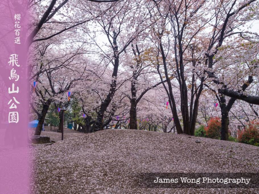 Asuka Yama Park (exactly at Oji station) is one of 3 most famous Sakura sightseeing in Tokyo. 飛鳥山公園是東京三大賞櫻名勝,就在王子地鐵站