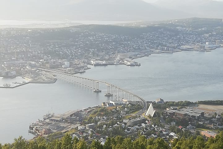 tromsø single