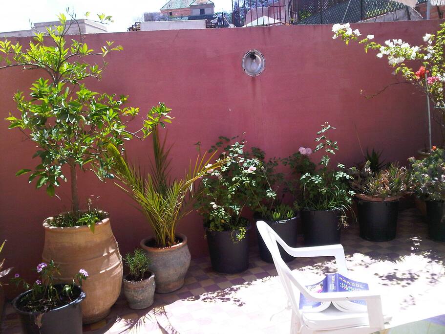 Terrasse fleurie