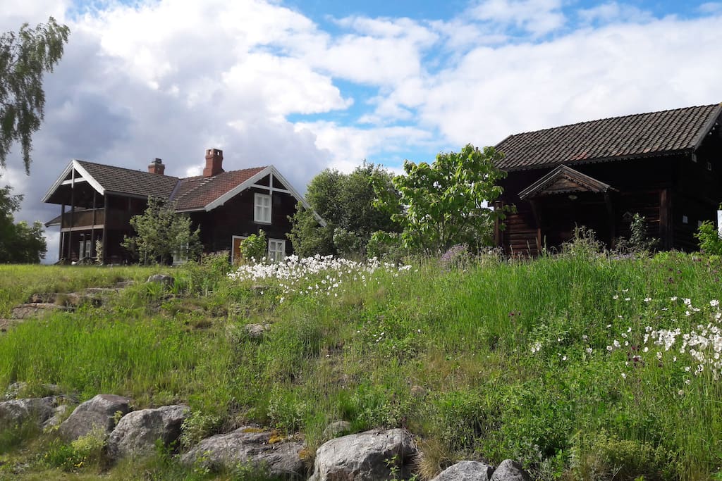Charming old log house for rent