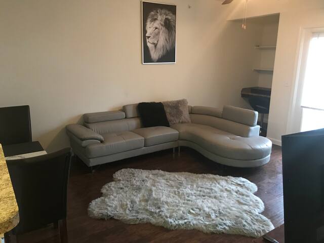 Lions Den June 2021 Dallas Texas Tx Usa 1 Bedroom 1 Bathroom