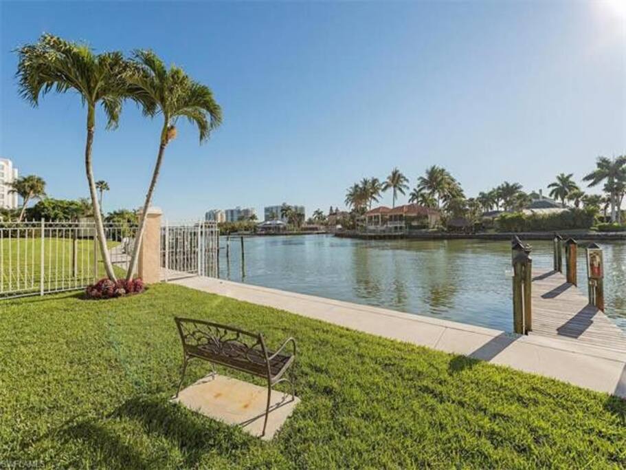backyard view